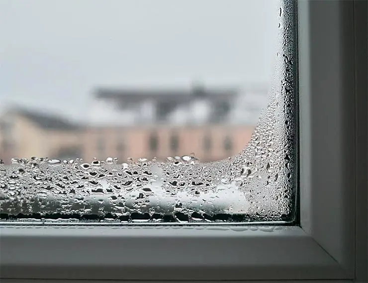 Ці 4 помилки призводять до утворення конденсату на вікнах