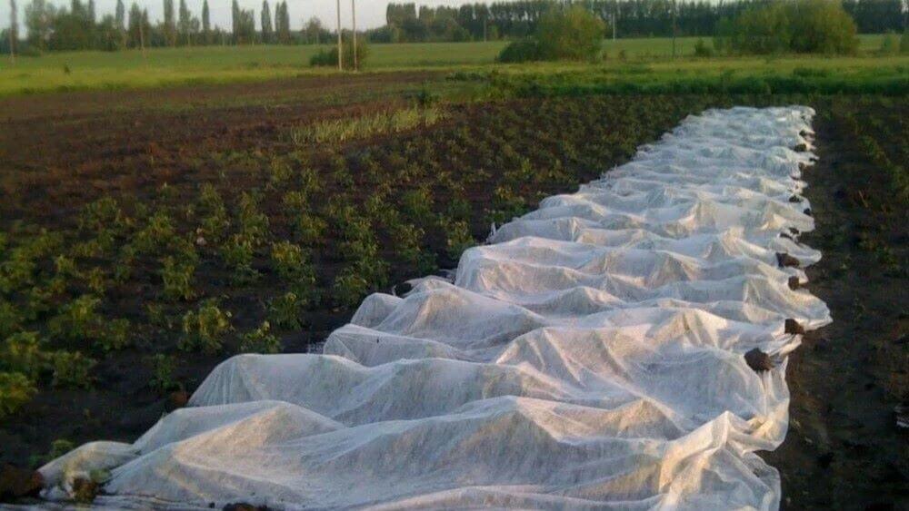 В Україну повертаються заморозки