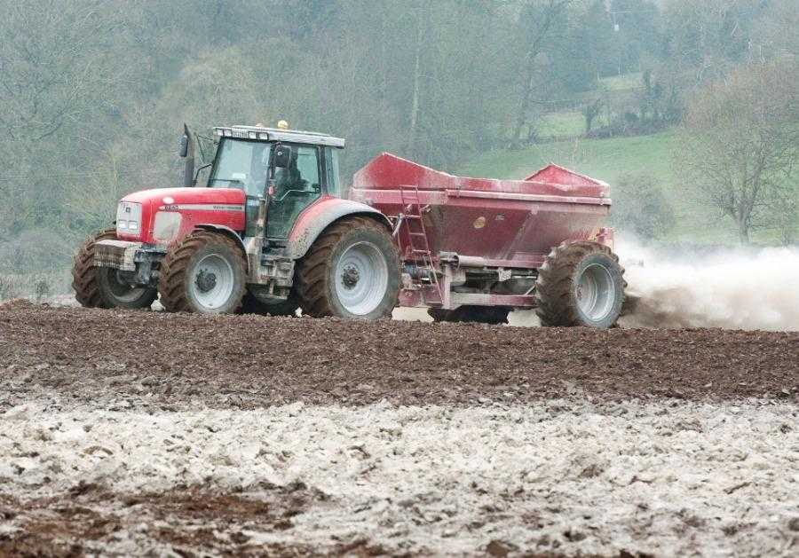 Норми вапнування ґрунту для збільшення родючості: дачникам на замітку