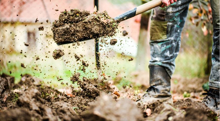 Три осінні помилки в догляді за ґрунтом з поганими наслідками