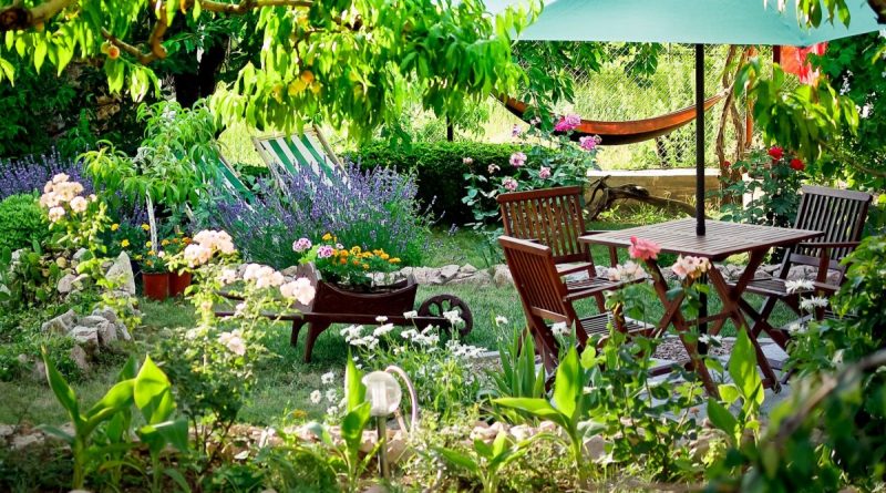 Сім корисних порад для тих, хто створює сад з нуля