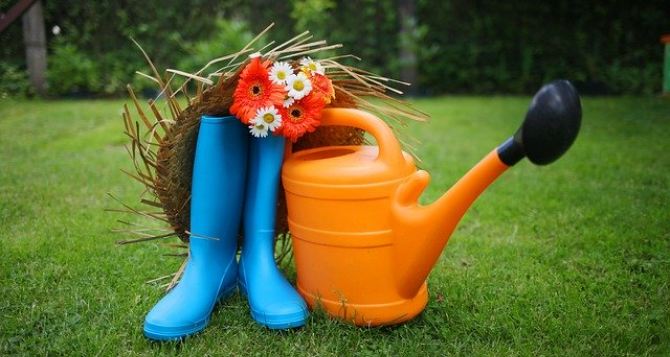 Як ложка допоможе вдосконалити полив з лійки