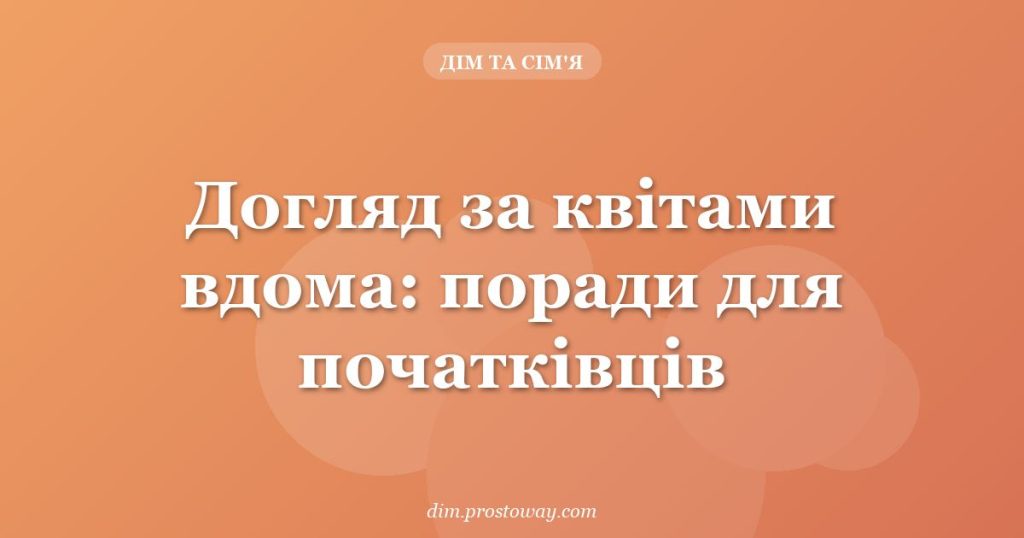 Догляд за квітами вдома: поради для початківців